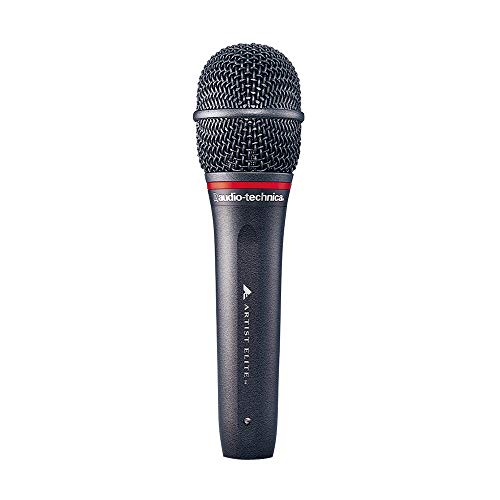 Audio-Technica AE6100