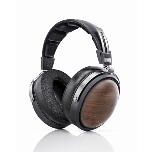 FiiO FT1