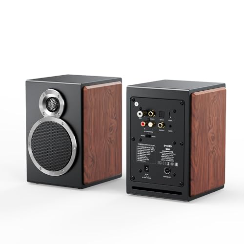 FiiO SA1