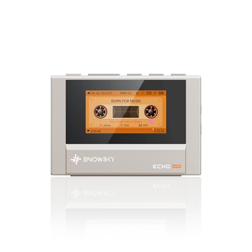 FiiO SNOWSKY Echo Mini